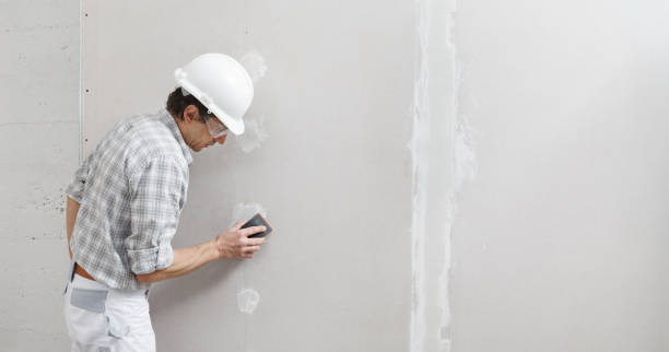 Best Drywall Texturing  in Forest Park, IL